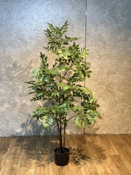 شجرو جوز T-010